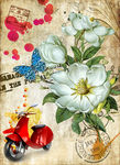 花卉油画