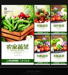 蔬菜展板