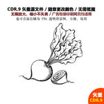 手绘线描蔬菜水果萝卜矢量图