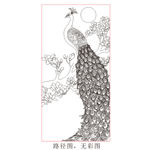 孔雀