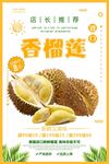 清新简约美味榴莲水果海报设计
