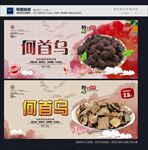 何首乌