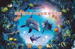 海洋馆 海洋生物