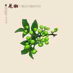 青花椒