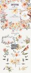 手绘水彩植物花朵