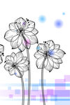 线描手绘花束玄关过道