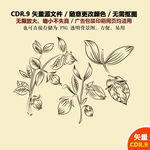 彩色树叶果子叶子插画矢量图