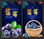 蓝莓
