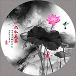 荷花