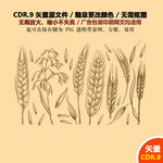 手绘麦子麦穗矢量图