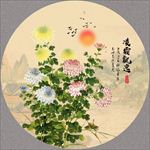 菊花