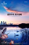 蝴蝶 木栈道 桥 白鹭 天鹅
