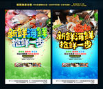 新鲜海鲜抢鲜一步