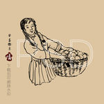 小青柑 柑普 云南