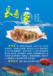长寿鱼