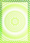 叶环素 环保证书纹