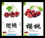 樱桃
