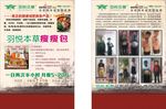 羽悦本草
