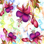 水彩花卉图案设计