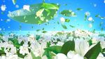 唯美花海