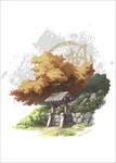 枫