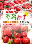 草莓熟了