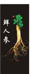 人参