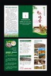 向阳谷生态园散养土鸡蛋宣传三折