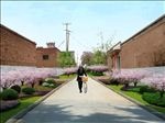 美丽乡村道路绿化效果图九