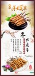 冬虫夏草