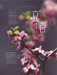 立春