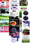 茶 茶叶