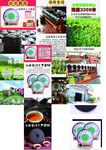 茶 茶叶 茶道
