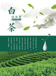 茶叶海报