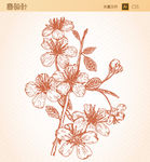素描花朵矢量图