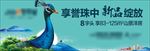 房地产广告 孔雀