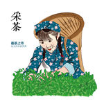 采茶