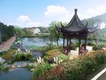 水稻景观设计
