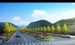 道路园林绿化