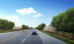 道路绿化表现