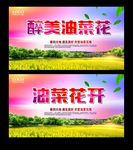 油菜花