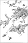 猫咪 素描 线描 白描 国画