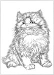 猫咪 素描 线描 白描 国画