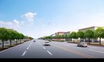 道路绿化设计