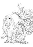 宠物名犬狗 白描 素描 线描
