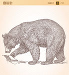 熊全身动物矢量图