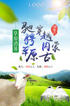 夏季清新驰骋草原穿越