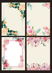 花卉图片