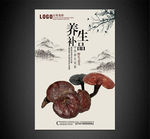 野生灵芝