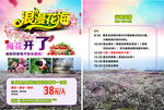 溧水梅花节旅游